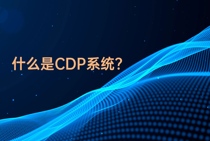 CDP系统