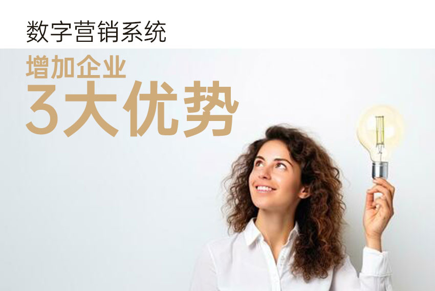 数字营销系统